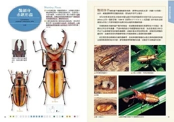 台湾の書籍