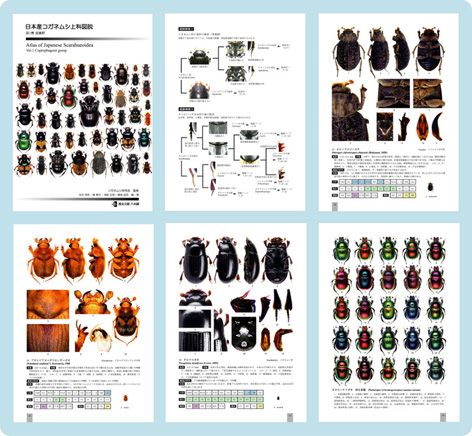 日本産コガネムシ上科図説