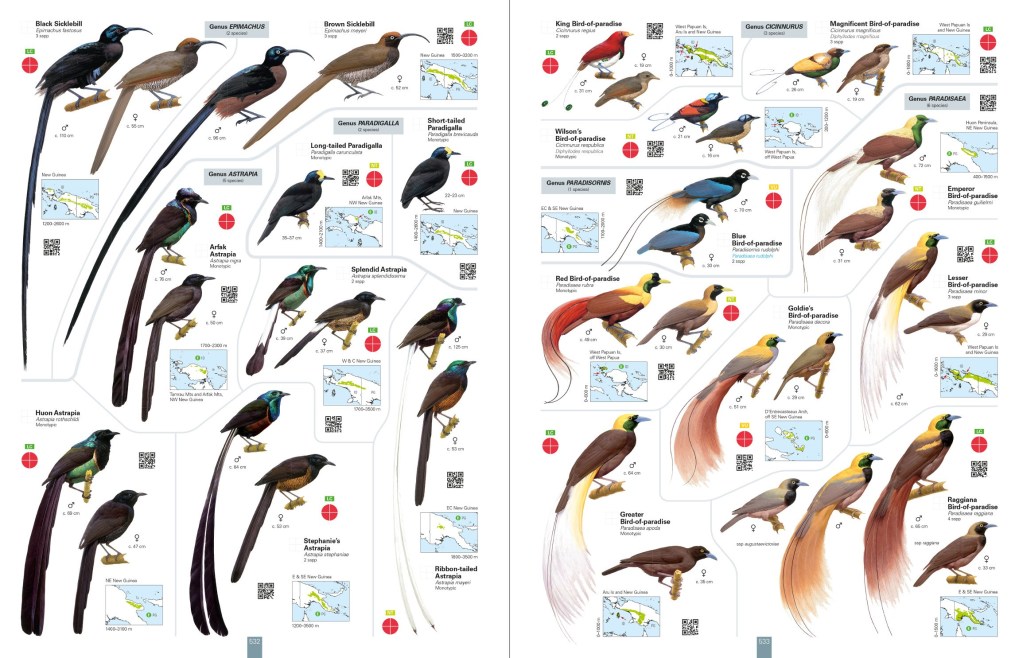 ご注意ください 専用☆世界の鳥類図鑑 6巻 - ネズミドリ科