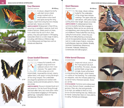 大型洋書R.H. カルカソン著「エチオピア地域の蝶の体系的カタログ」アフリカ熱帯地域の蝶