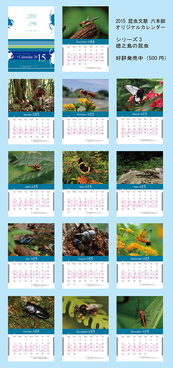 昆虫文献 六本脚 オリジナル 15年カレンダー 今年もご好評いただいている 昆虫文献 六本脚 オリジナルカレンダー を作成しました 今年の写真提供者は 徳之島在住の鯉太朗さんです 魅力的な特産種の多い 南国徳之島の 四季折々の昆虫をお
