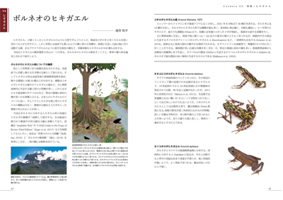 caudata 両生類・爬虫類専門雑誌 2号 3号 4号 5号