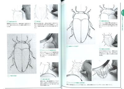 和書5】 美術・アート系（図鑑・画集・写真集・技法書、趣味・クラフト）関連書籍