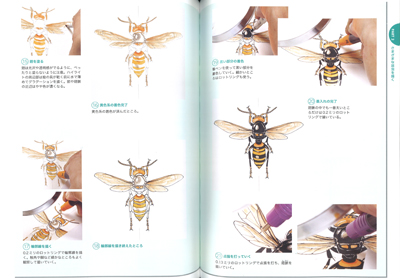 和書5 美術 アート系 図鑑 画集 写真集 技法書 趣味 クラフト 関連書籍