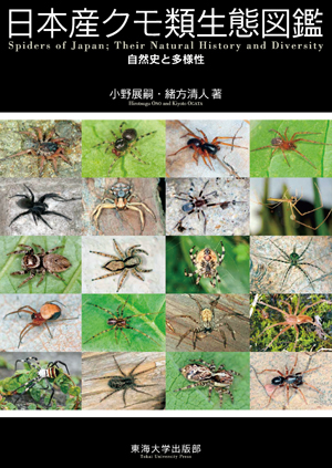 日本産クモ類生態図鑑