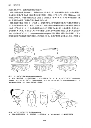 日本産水生昆虫