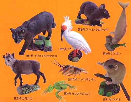 動物編週間日本の天然記念物動物編全50巻＋バインダー空箱（狼）＋未 