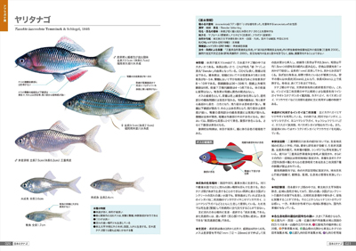 魚類関連書籍